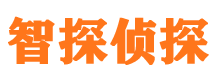 民和市私家侦探